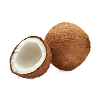 Coconut