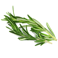 Rosemary