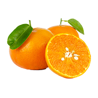 Mandarin Orange